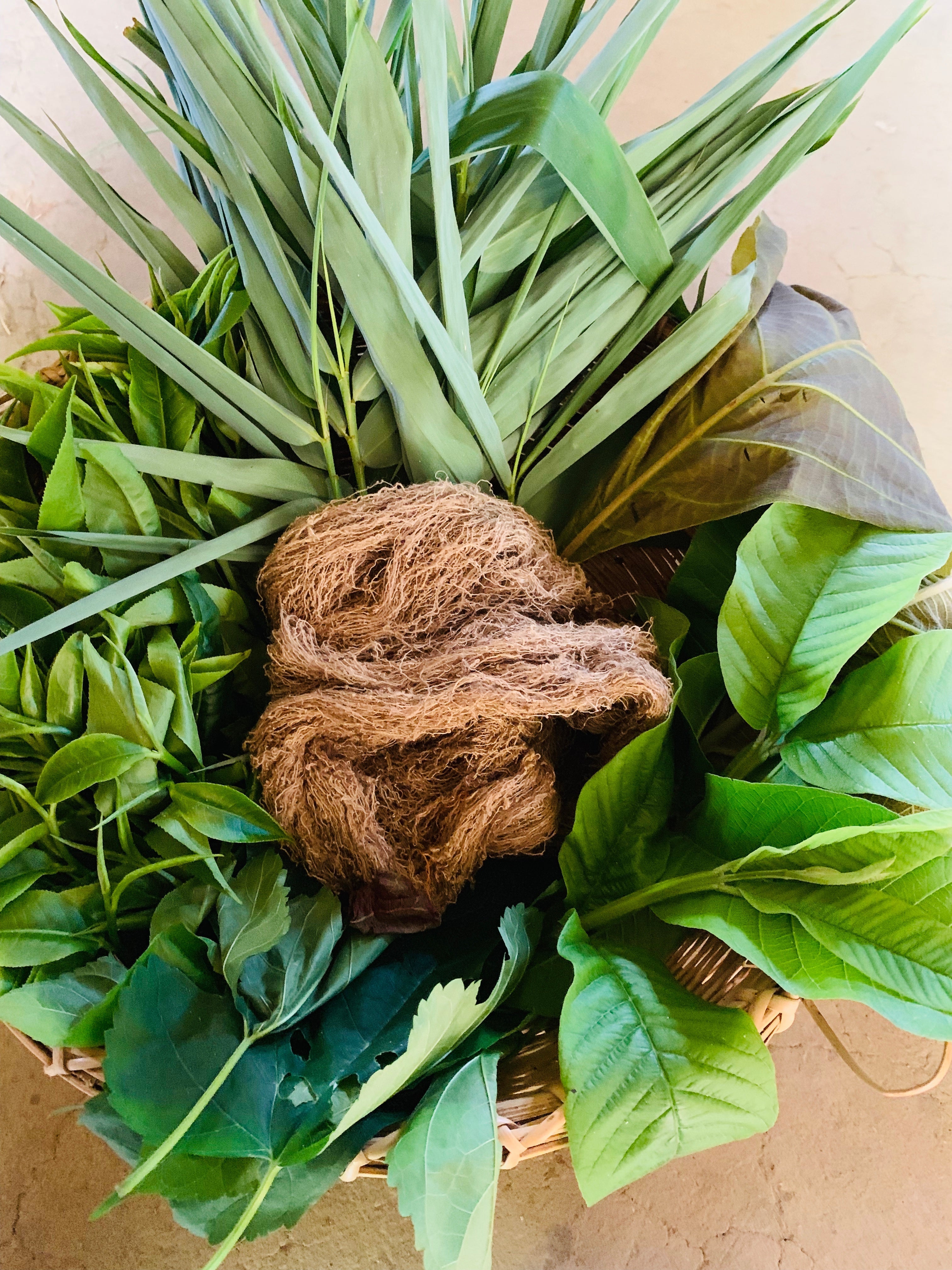 10 Reasons Naturally Dyed Clothing is the Future of Sustainable Luxury